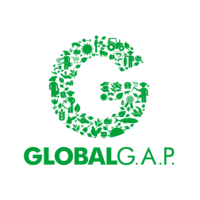 global-gap-1.png