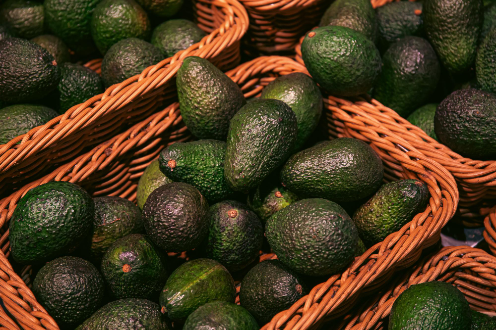 palta-fukuda-03.jpg